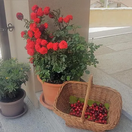 Tenuta Rella Holiday home *