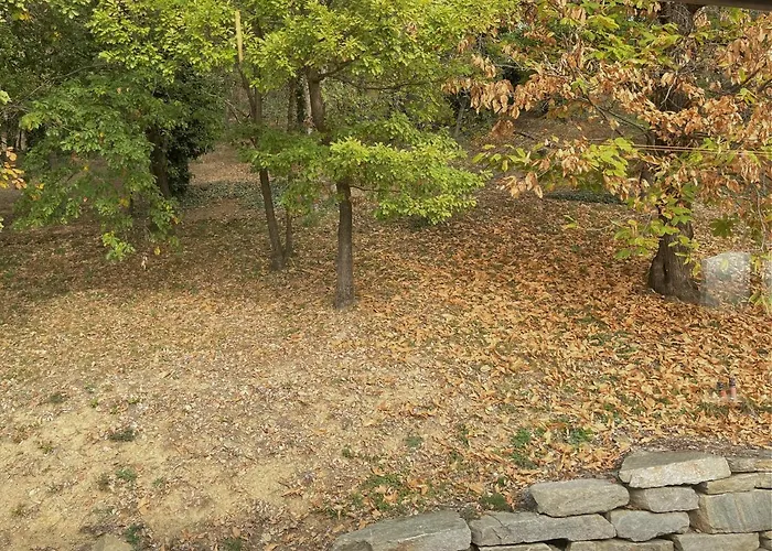 度假居 Tenuta Rella *